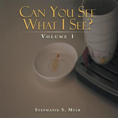 Cover image for book Can You See What I See?