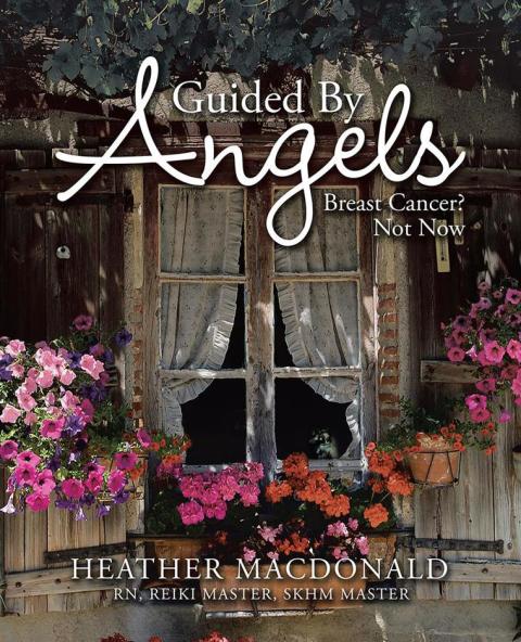 Cover image for book Guided by Angels