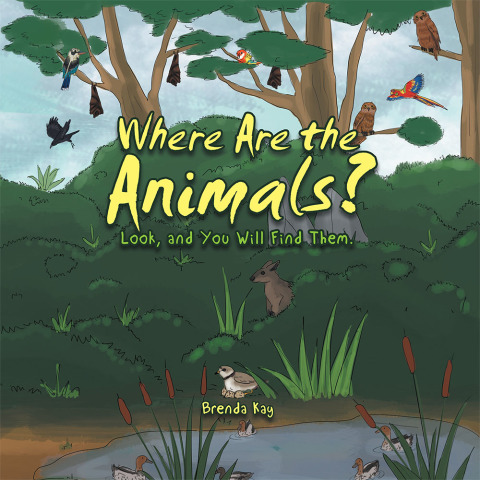Cover image for book Where Are the Animals?