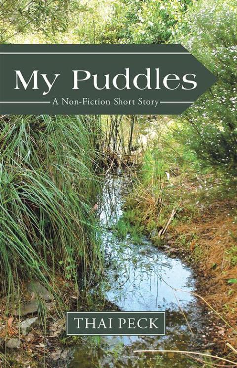 Cover image for book My Puddles