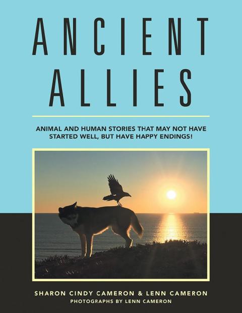 Cover image for book Ancient Allies
