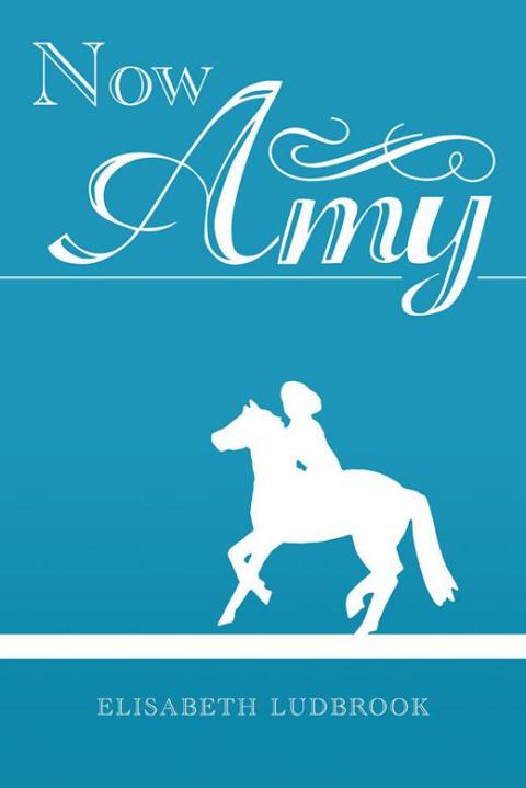 Cover image for book Now Amy