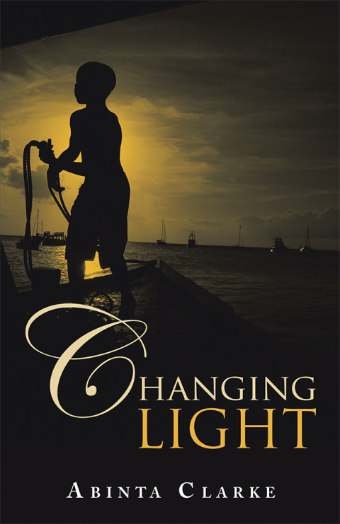 Cover image for book Changing Light