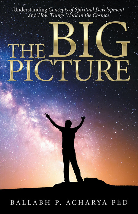 Cover image for book The Big Picture