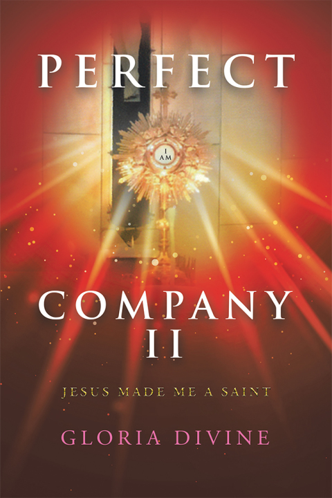 Cover image for book Perfect Company II