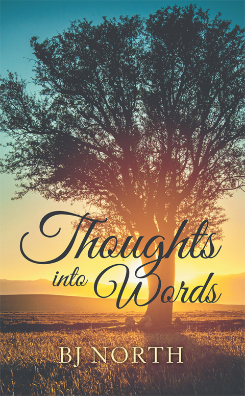 Cover image for book Thoughts into Words