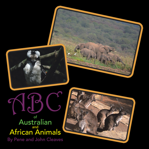 Cover image for book Abc of Australian and African Animals