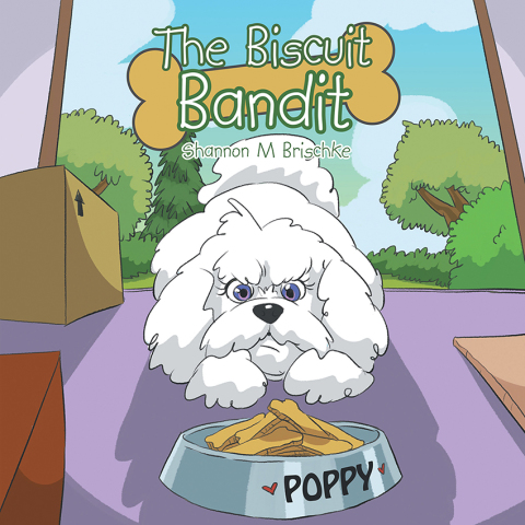 Cover image for book The Biscuit Bandit