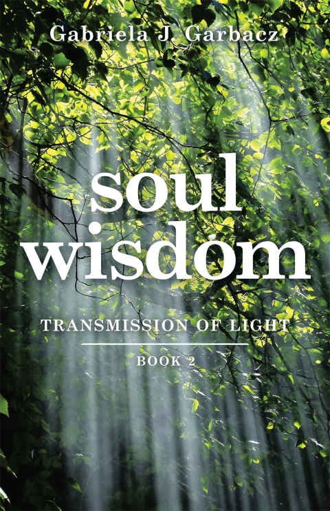 Cover image for book Soul Wisdom