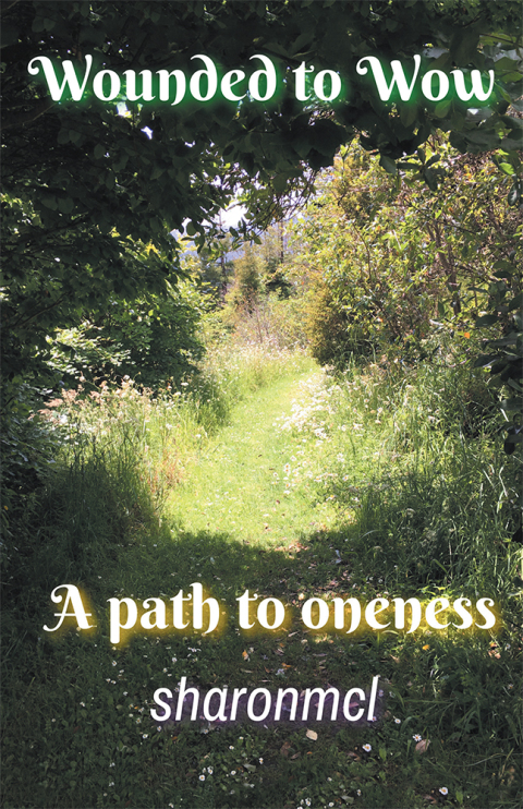 Cover image for book Wounded to Wow