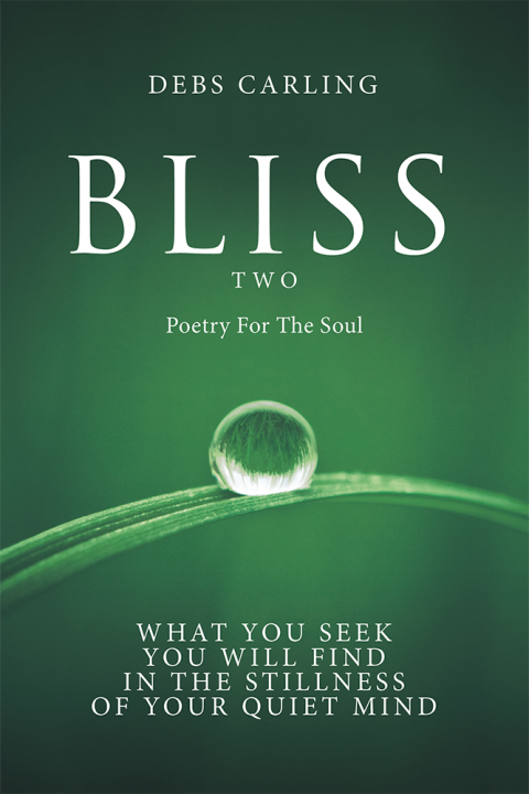 Cover image for book Bliss Two