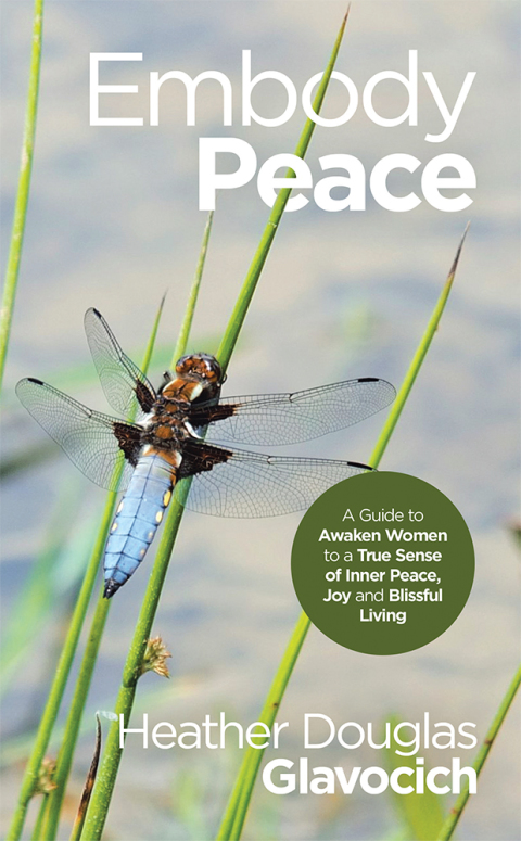 Cover image for book Embody Peace