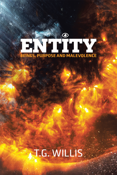 Cover image for book Entity