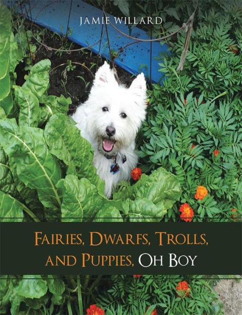 Cover image for book Fairies, Dwarfs, Trolls, and Puppies, Oh Boy