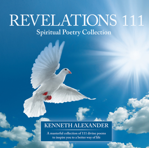Cover image for book Revelations 111