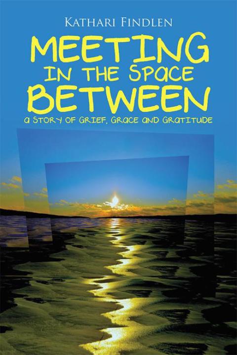 Cover image for book Meeting in the Space Between