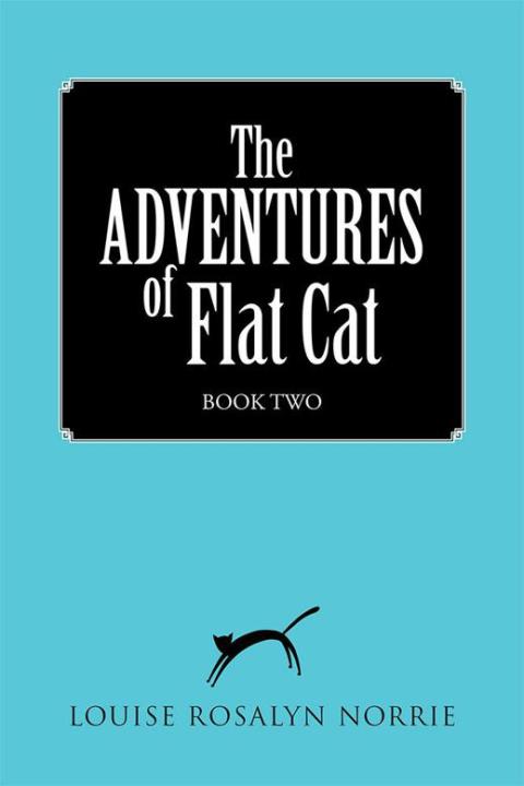 Cover image for book The Adventures of Flat Cat