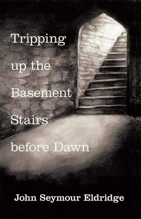 Cover image for book Tripping up the Basement Stairs Before Dawn