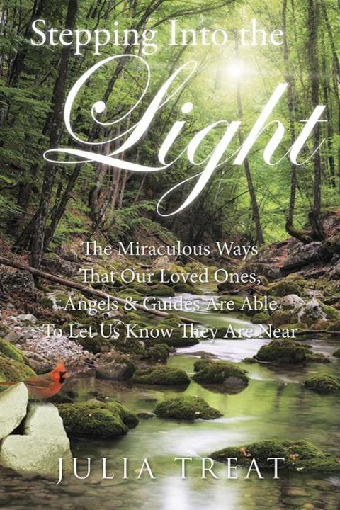 Cover image for book Stepping into the Light