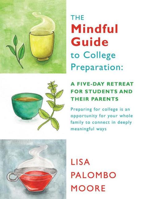 Cover image for book The Mindful Guide to College Preparation: