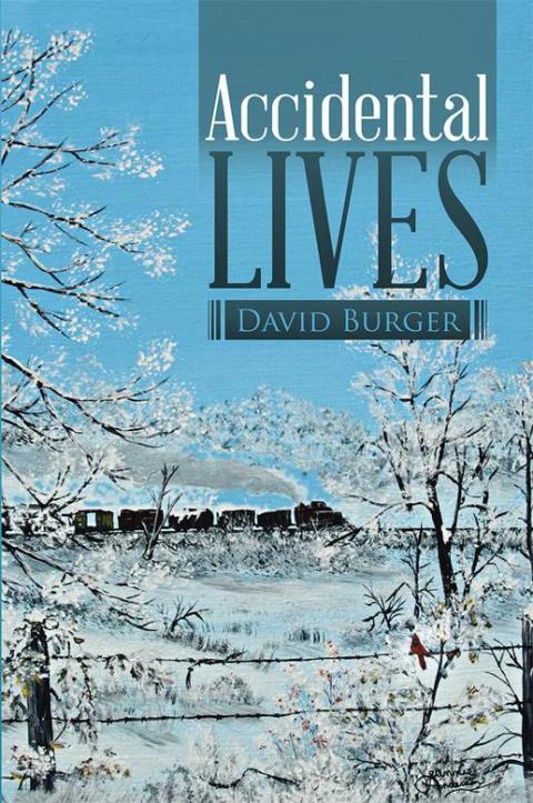 Cover image for book Accidental Lives