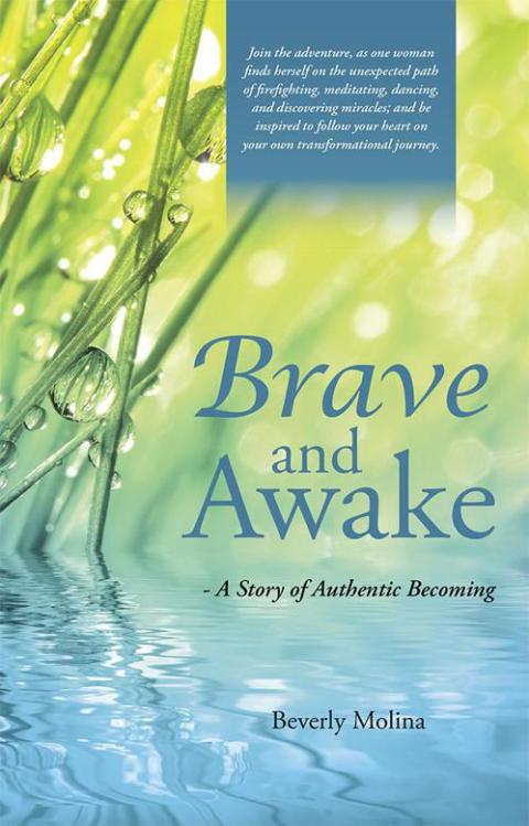 Cover image for book Brave and Awake