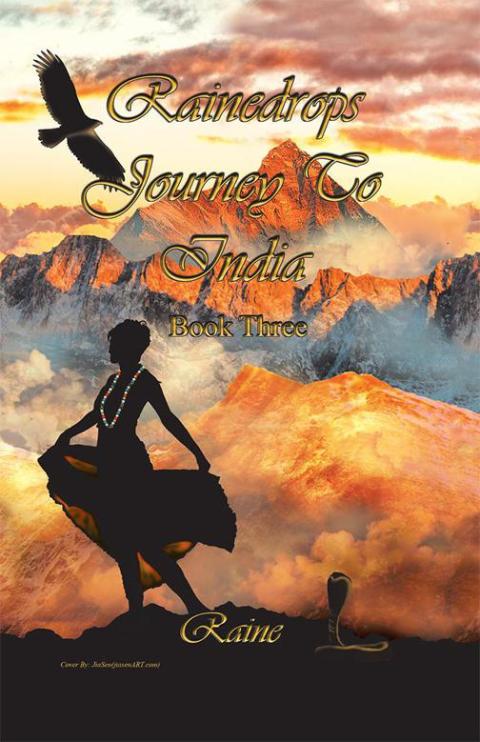 Cover image for book Rainedrops Journey to India