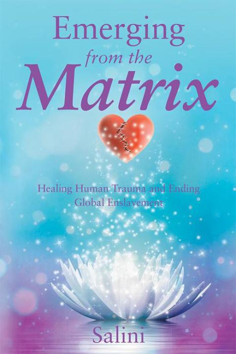 Cover image for book Emerging from the Matrix