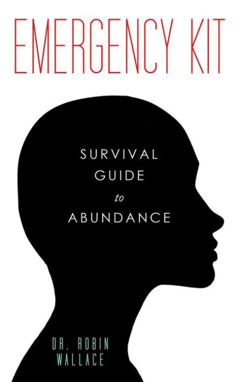 Cover image for book Emergency Kit