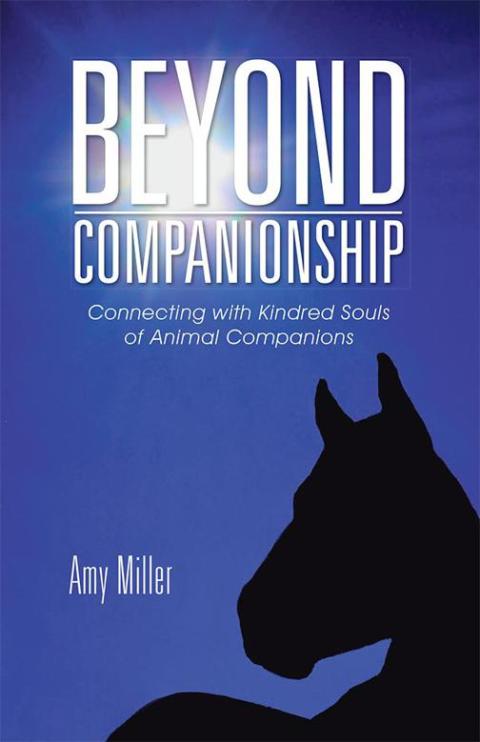 Cover image for book Beyond Companionship