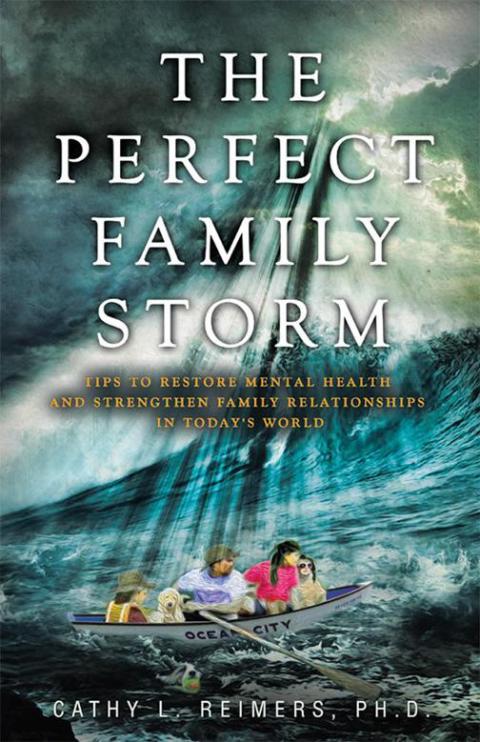 Cover image for book The Perfect Family Storm