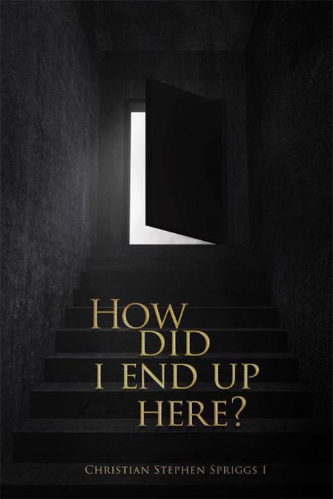 Cover image for book How Did I End up Here?