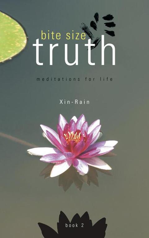Cover image for book Bite Size Truth