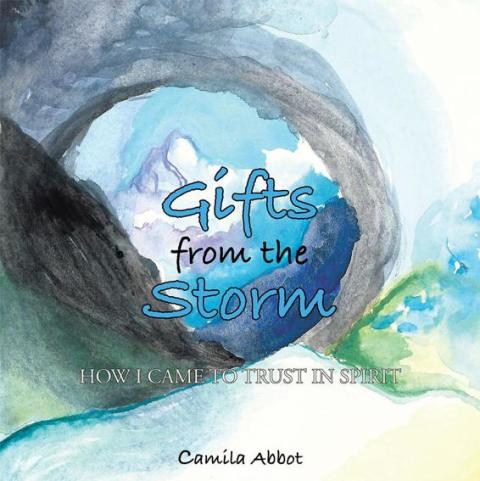 Cover image for book Gifts from the Storm