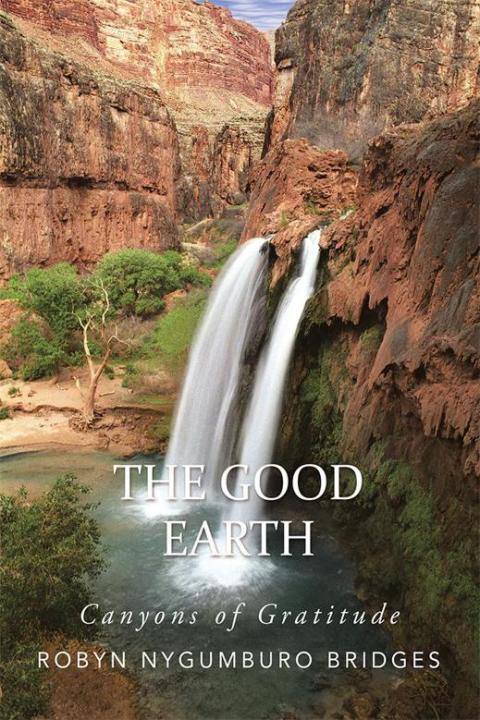 Cover image for book The Good Earth