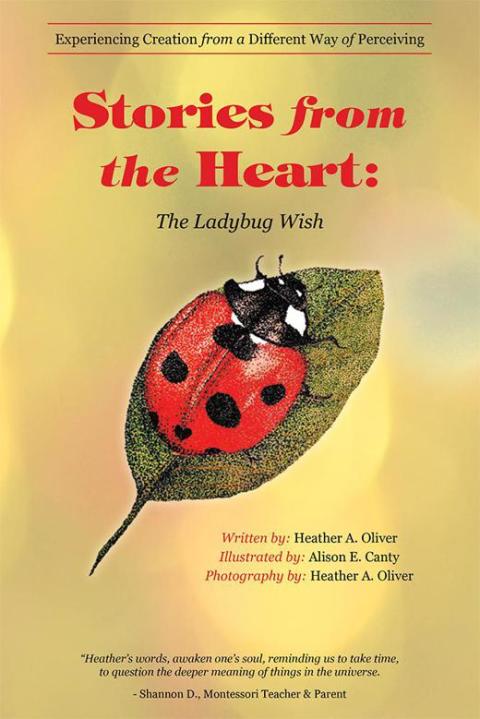 Cover image for book Stories from the Heart: the Ladybug Wish