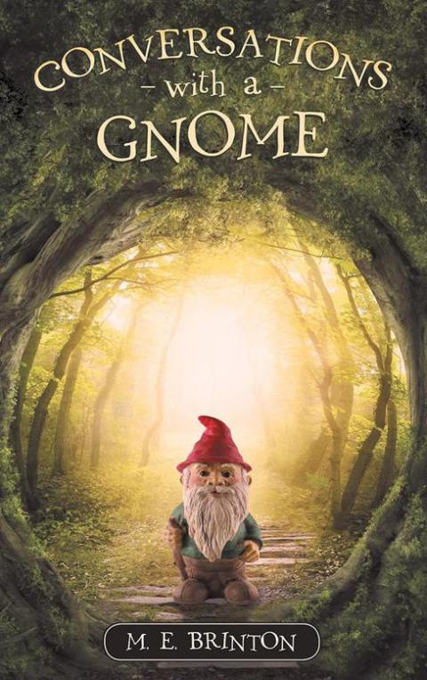 Cover image for book Conversations with a Gnome