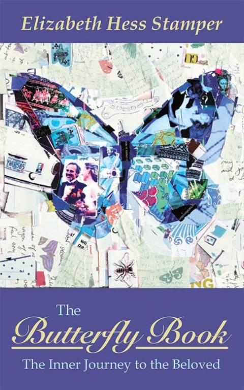 Cover image for book The Butterfly Book
