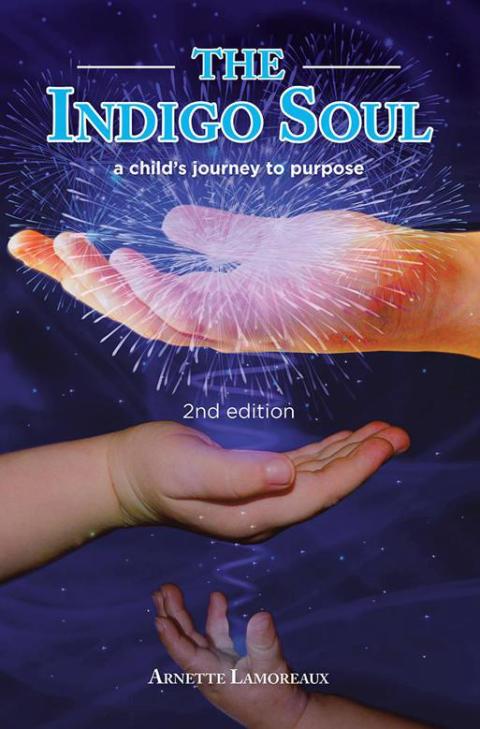 Cover image for book The Indigo Soul