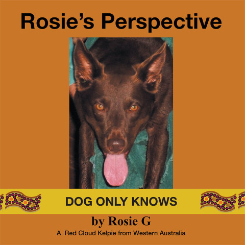 Cover image for book Rosie's Perspective