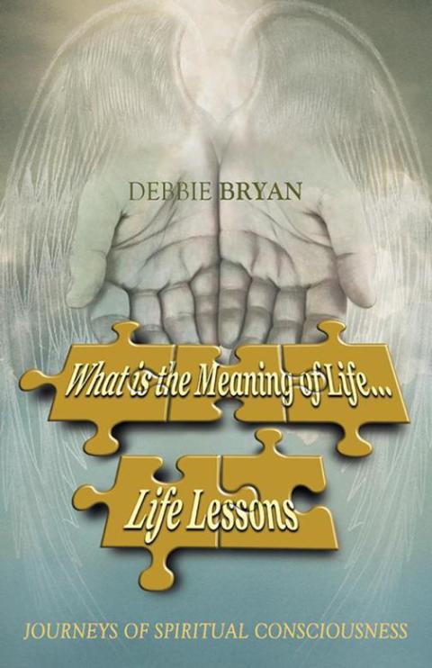 Cover image for book What Is the Meaning of Life... Life Lessons