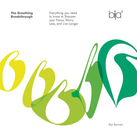 Cover image for book The Breathing Breakthrough