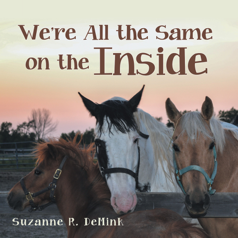 Cover image for book We're All the Same on the Inside