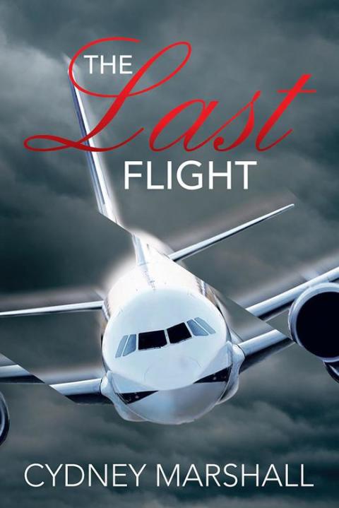 Cover image for book The Last Flight