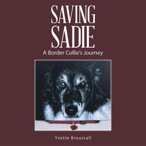 Cover image for book Saving Sadie