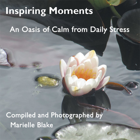 Cover image for book Inspiring Moments