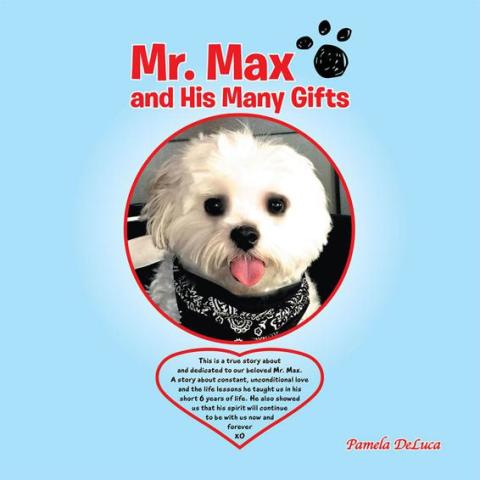 Cover image for book Mr. Max and His Many Gifts