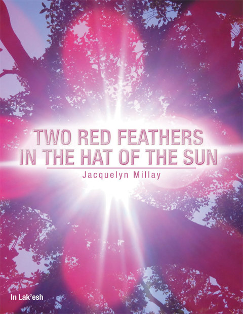 Cover image for book Two Red Feathers in the Hat of the Sun