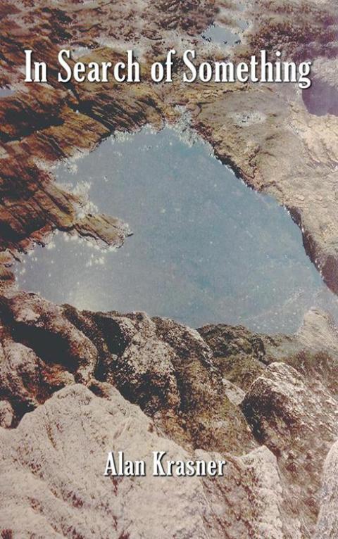 Cover image for book In Search of Something