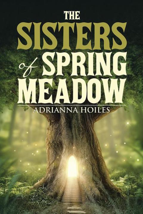 Cover image for book The Sisters of Spring Meadow